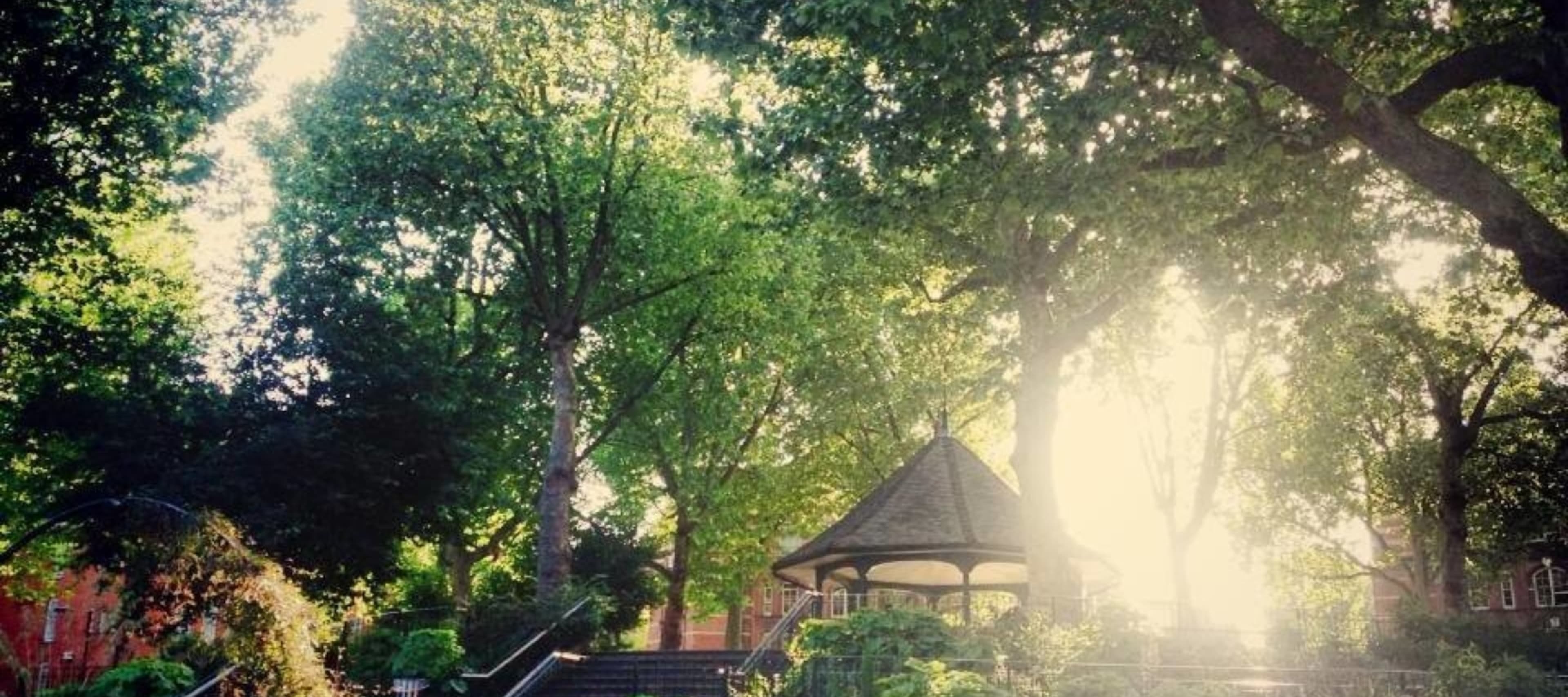Arnold Circus